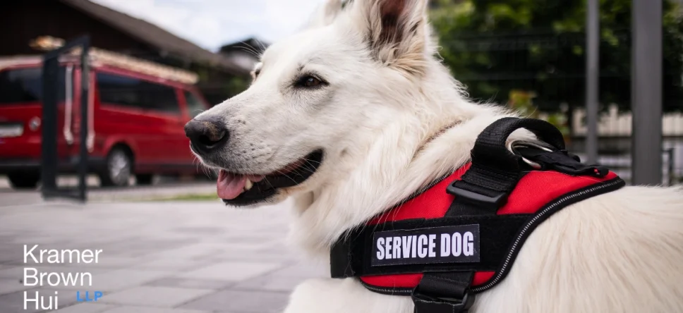 Service Animals at Workplace in California: Know Your Rights (2025)